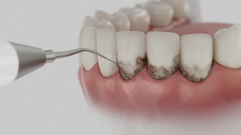 Reliable Dental contractor in Colonial Heights, TN by Dentist Open Now